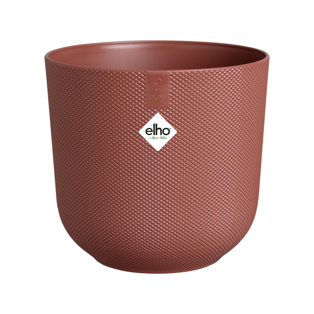 Jazz Rond Mini 7