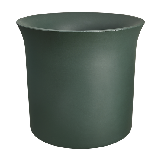 June Tulip 40