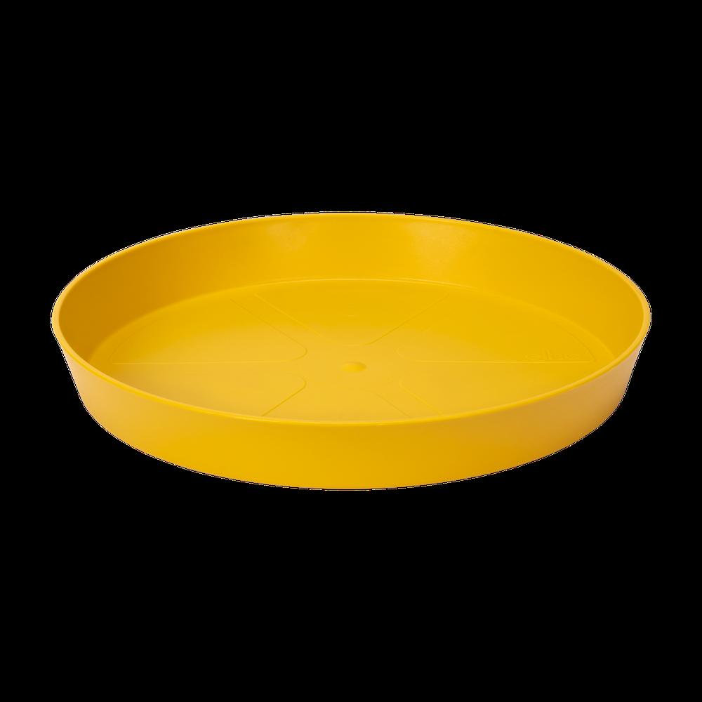 Loft Urban Soucoupe Ronde 28