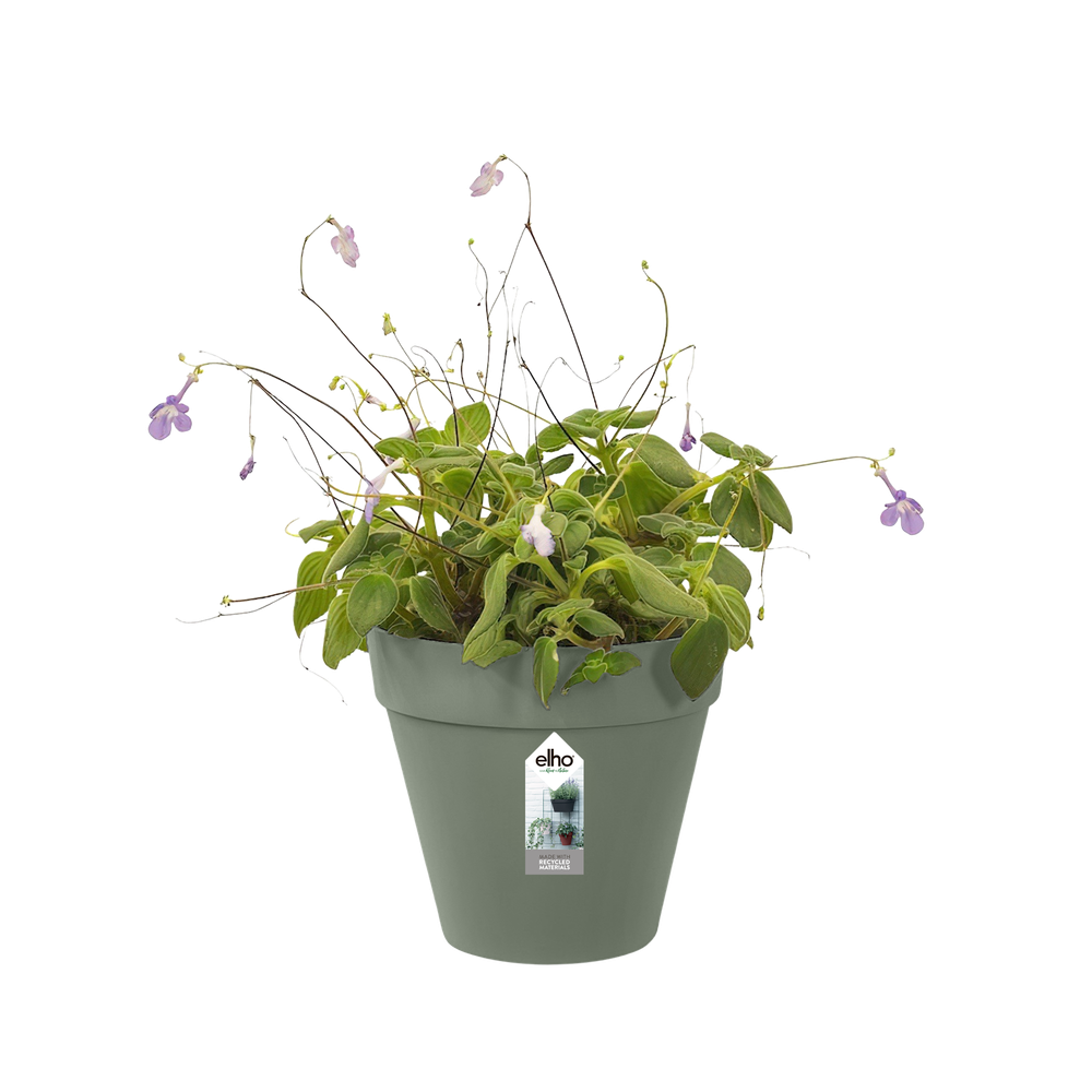 Loft Urban Green Wall Single 15