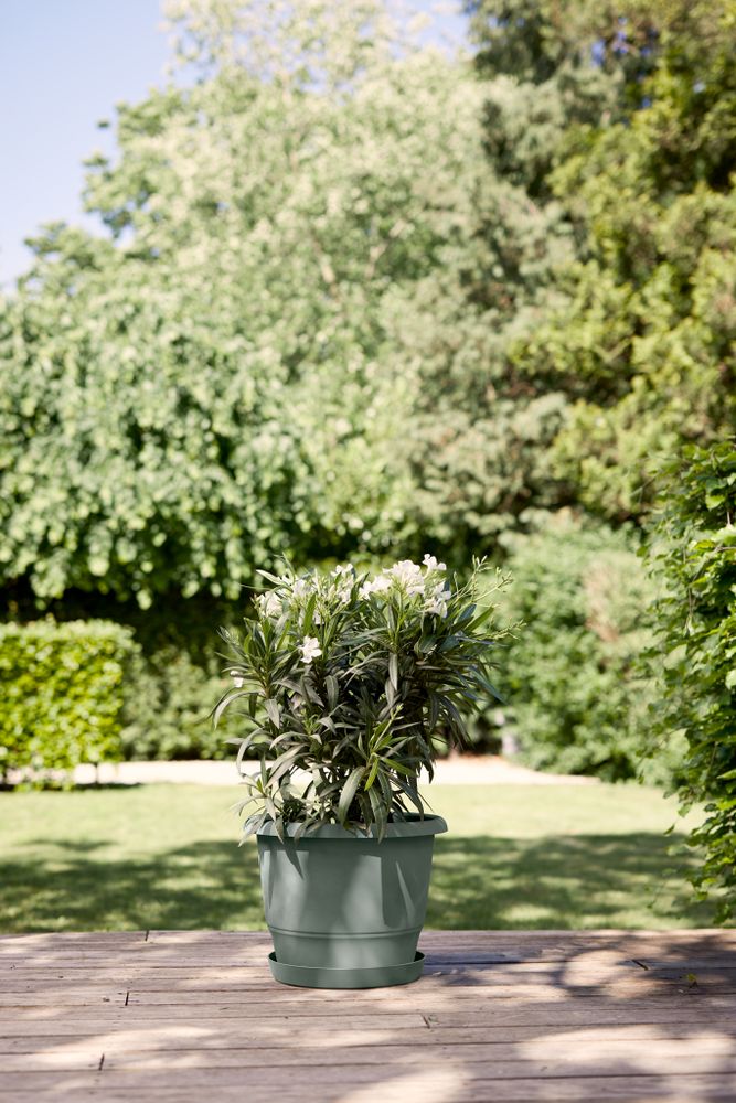 Loft Urban Soucoupe Ronde 24