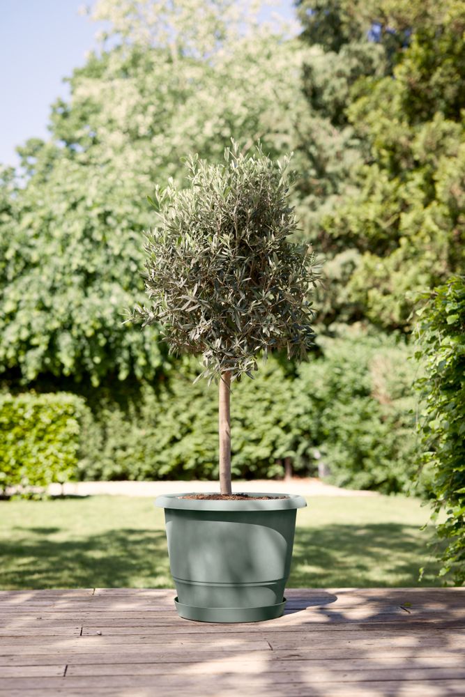 Loft Urban Soucoupe Ronde 28