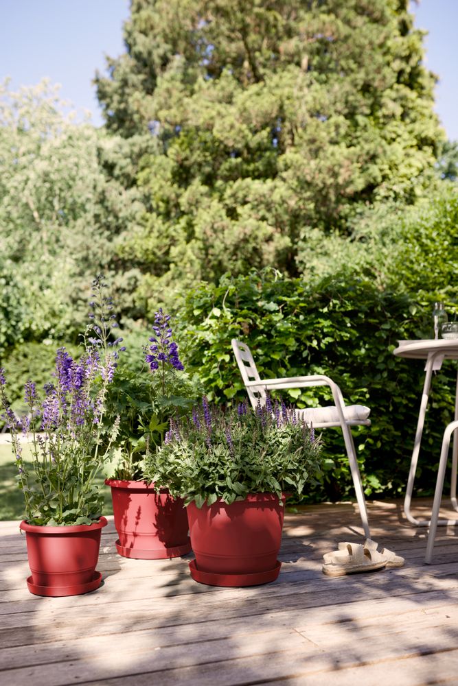 Loft Urban Soucoupe Ronde 28