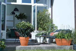 Loft Urban Soucoupe Ronde 24