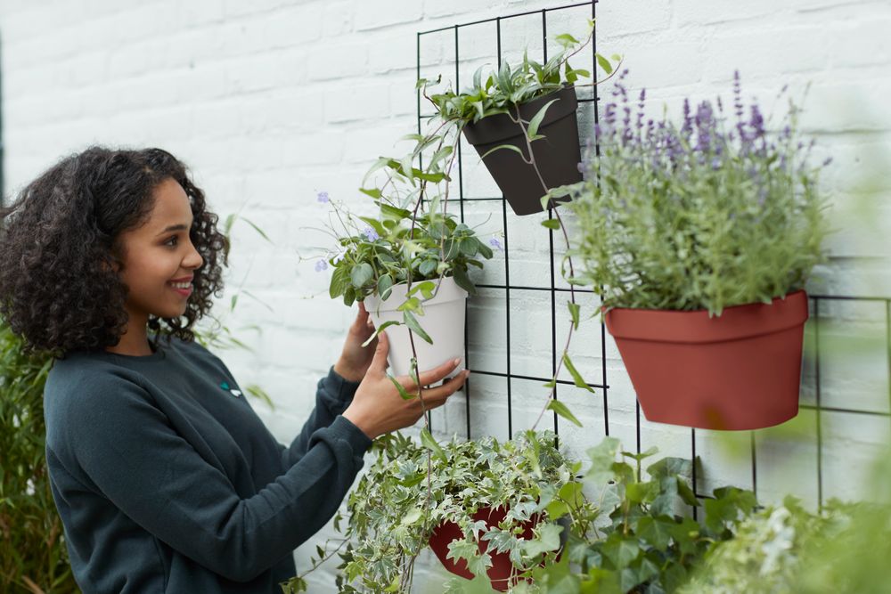Loft Urban Green Wall Grille 59