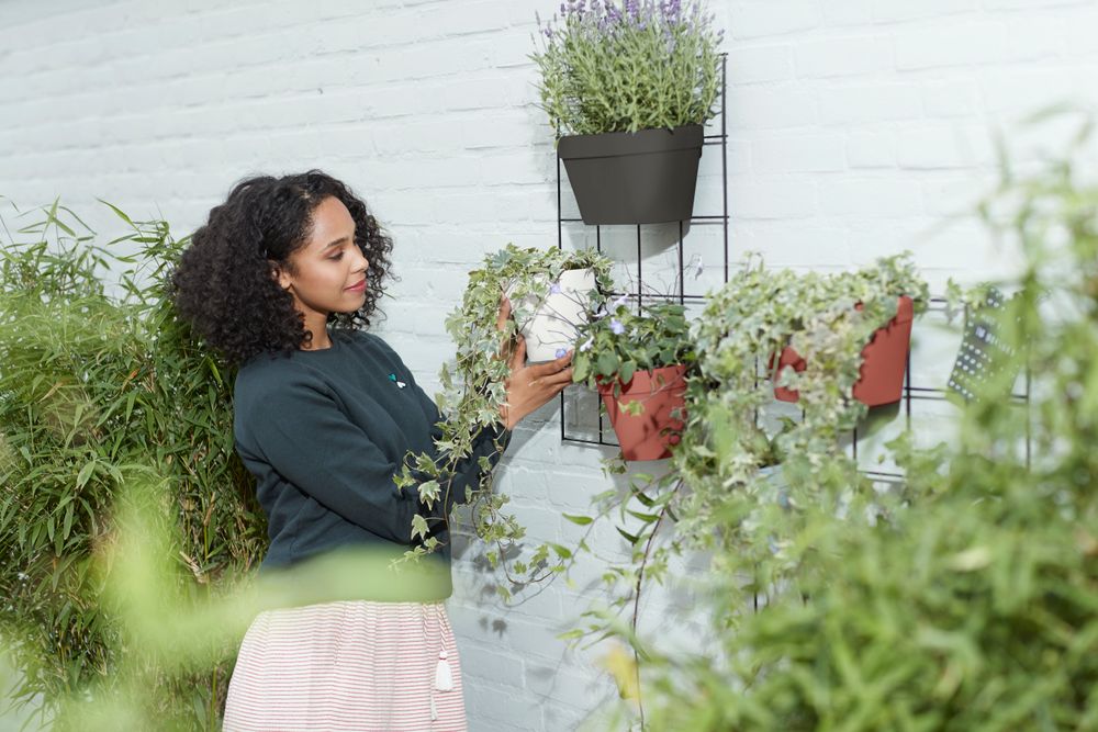 Loft Urban Green Wall Single 15