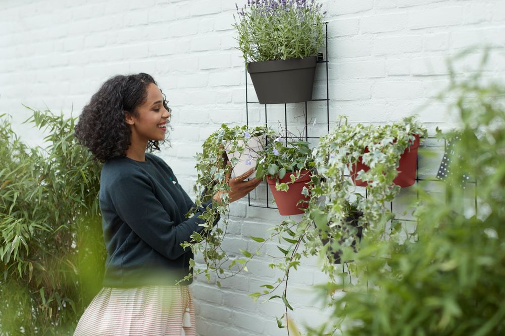 Loft Urban Green Wall Single 15