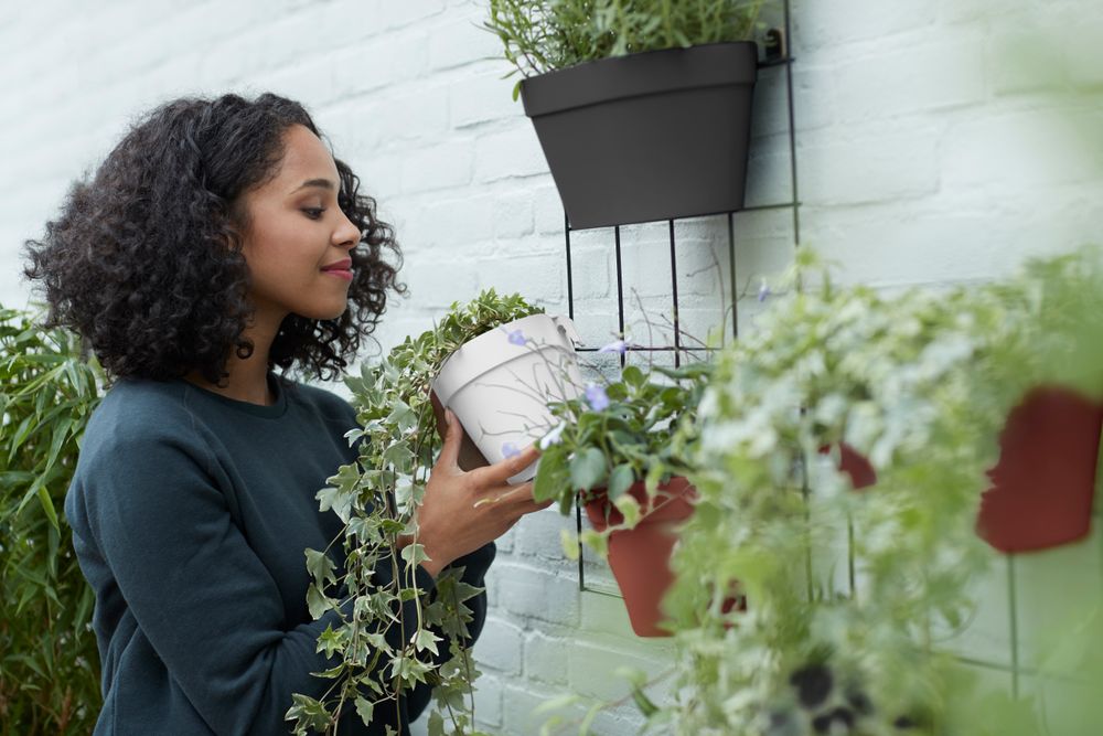 Loft Urban Green Wall Single 15