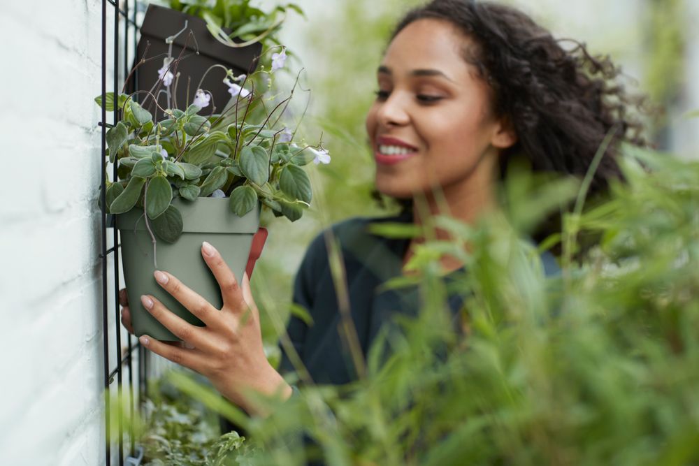 Loft Urban Green Wall Single 15