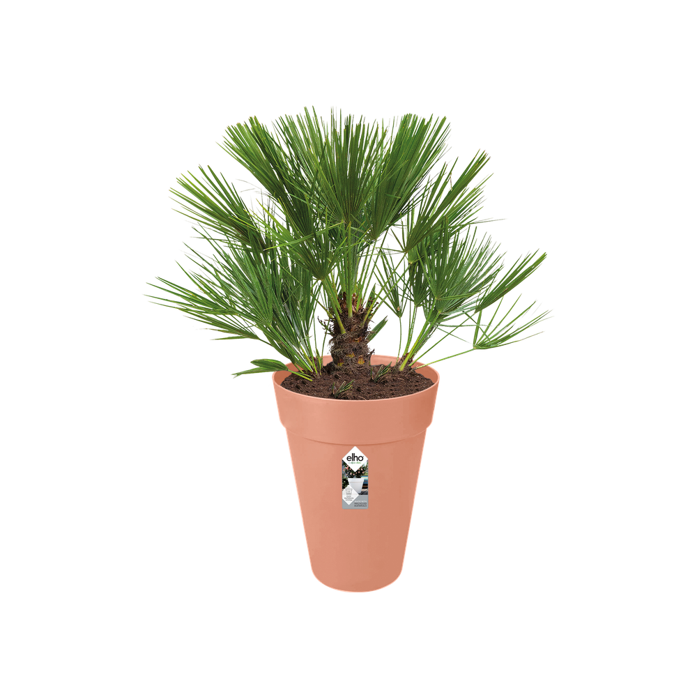 Loft Urban Rond Haut 35