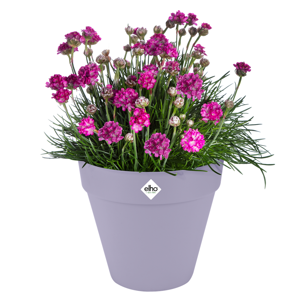 Loft Urban Rond Roues 50