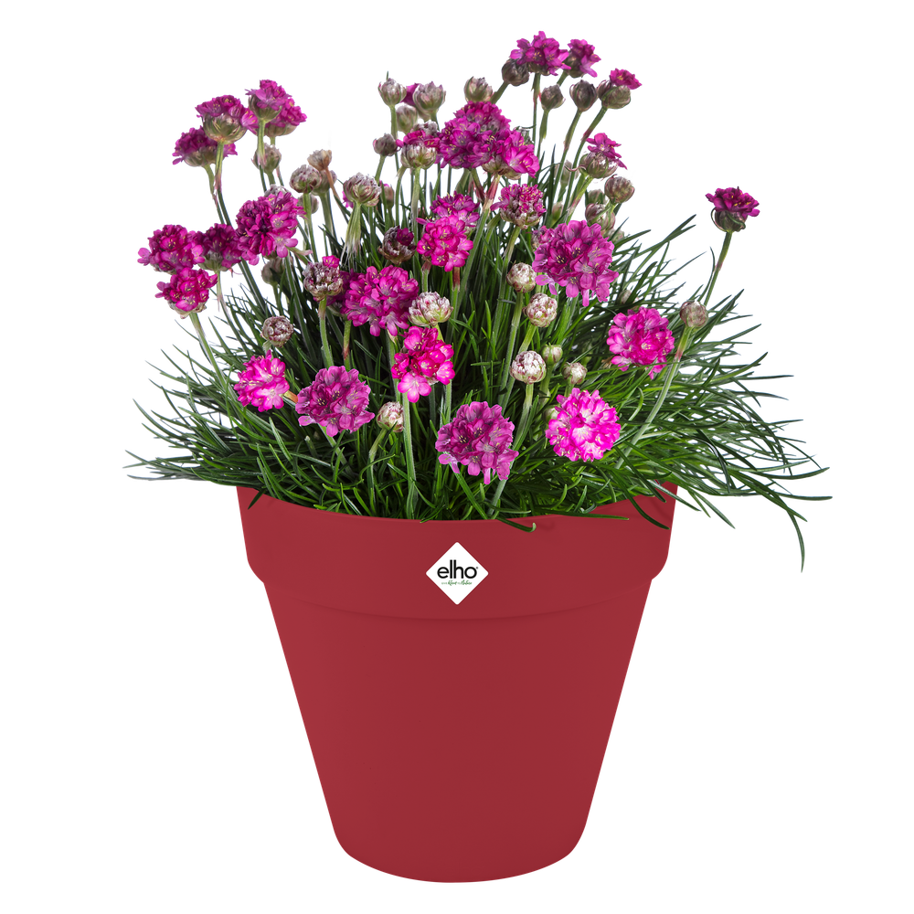 Loft Urban Rond Roues 50