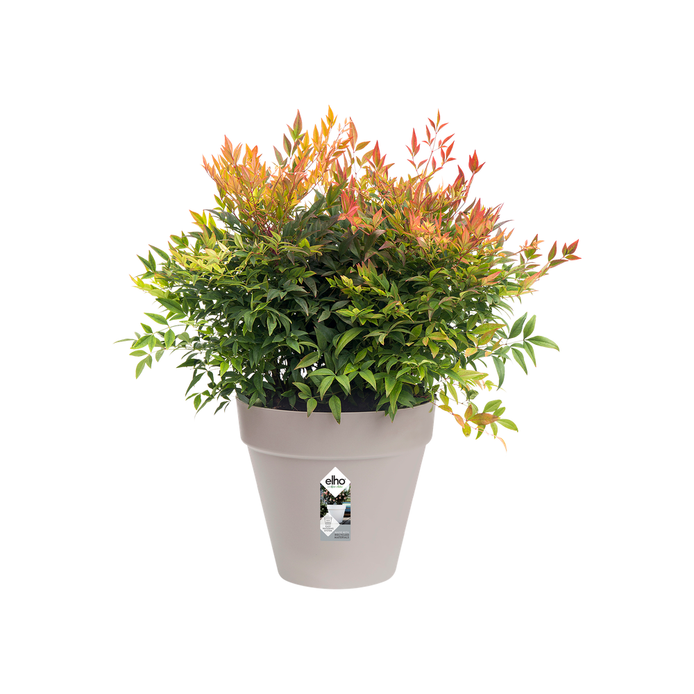 Loft Urban Rond Roues 40