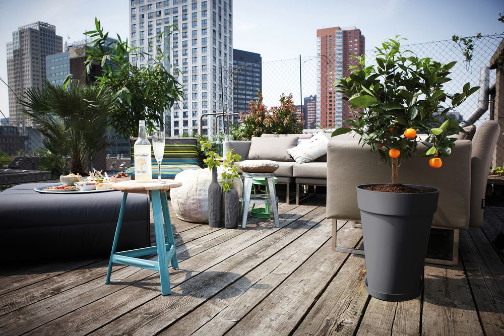 Loft Urban Soucoupe Ronde 21