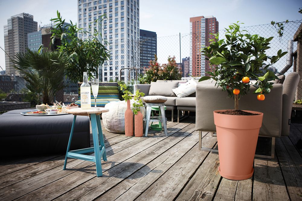 Loft Urban Soucoupe Ronde 14