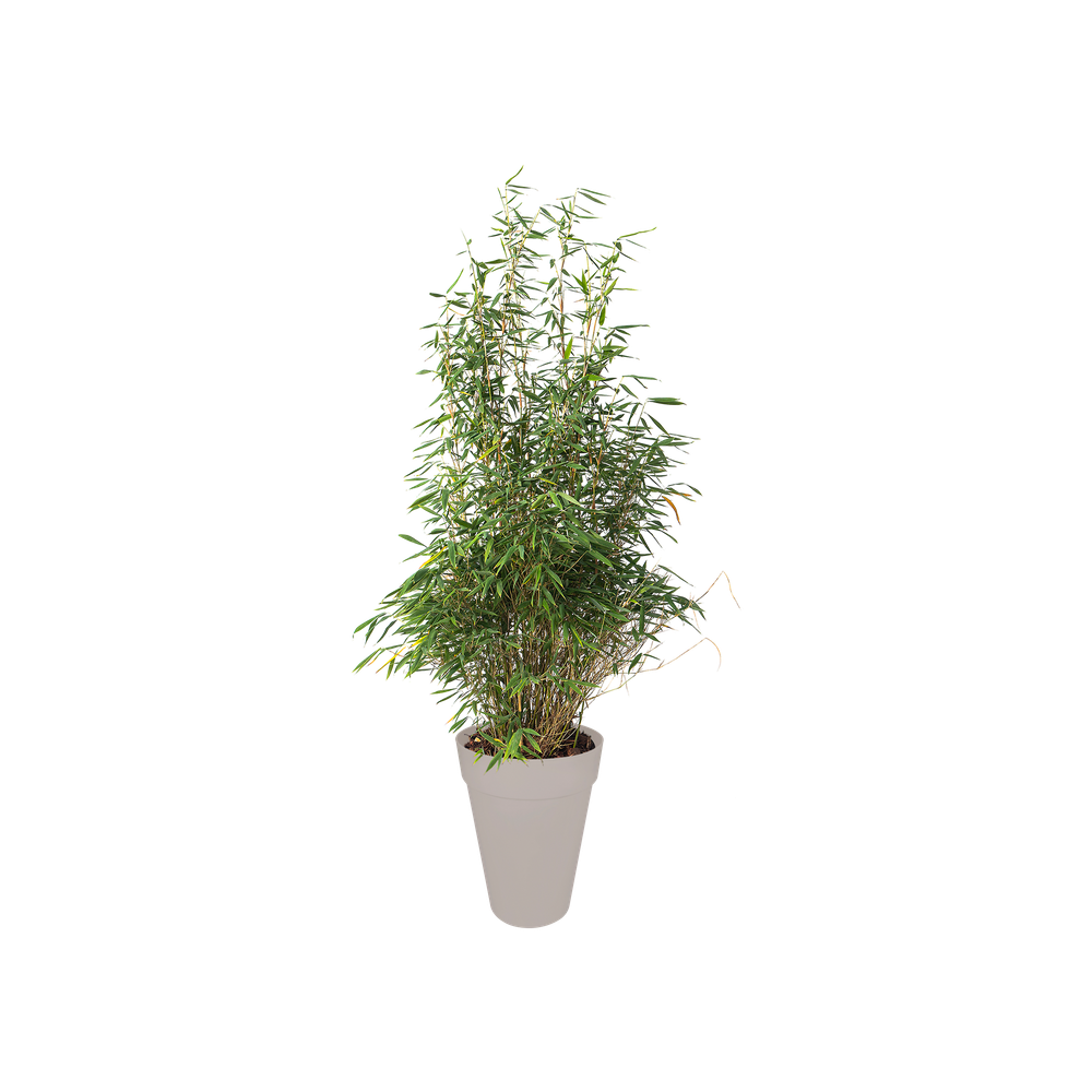 Loft Urban Rond Haut 42