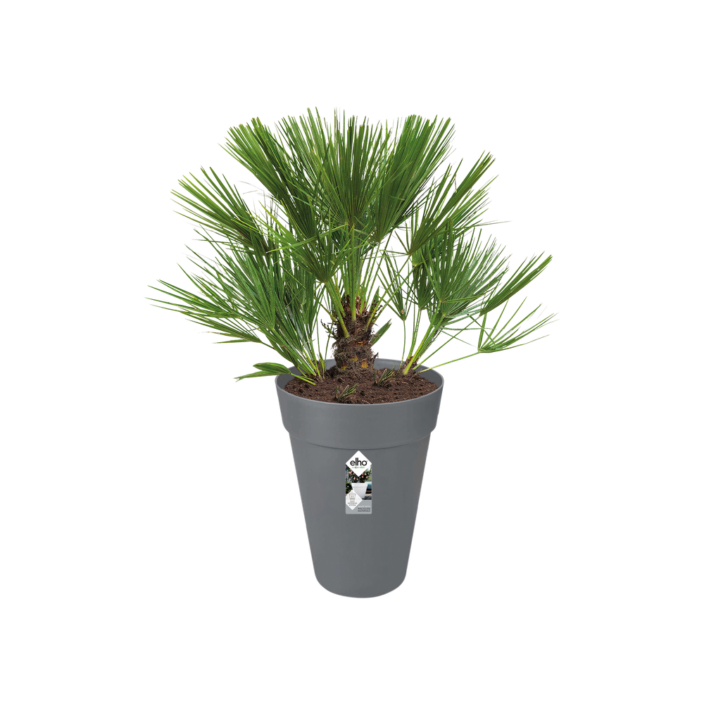 Loft Urban Rond Haut 42