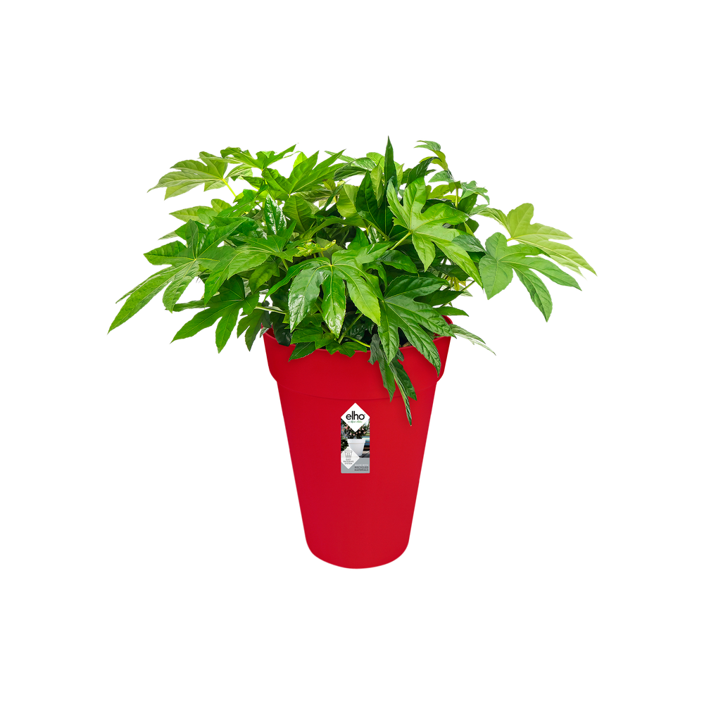 Loft Urban Rond Haut 35