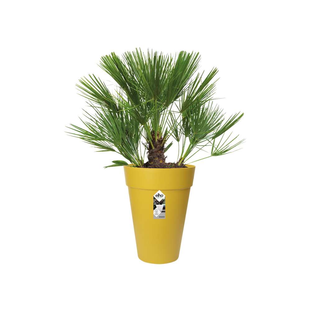 Loft Urban Rond Haut 35