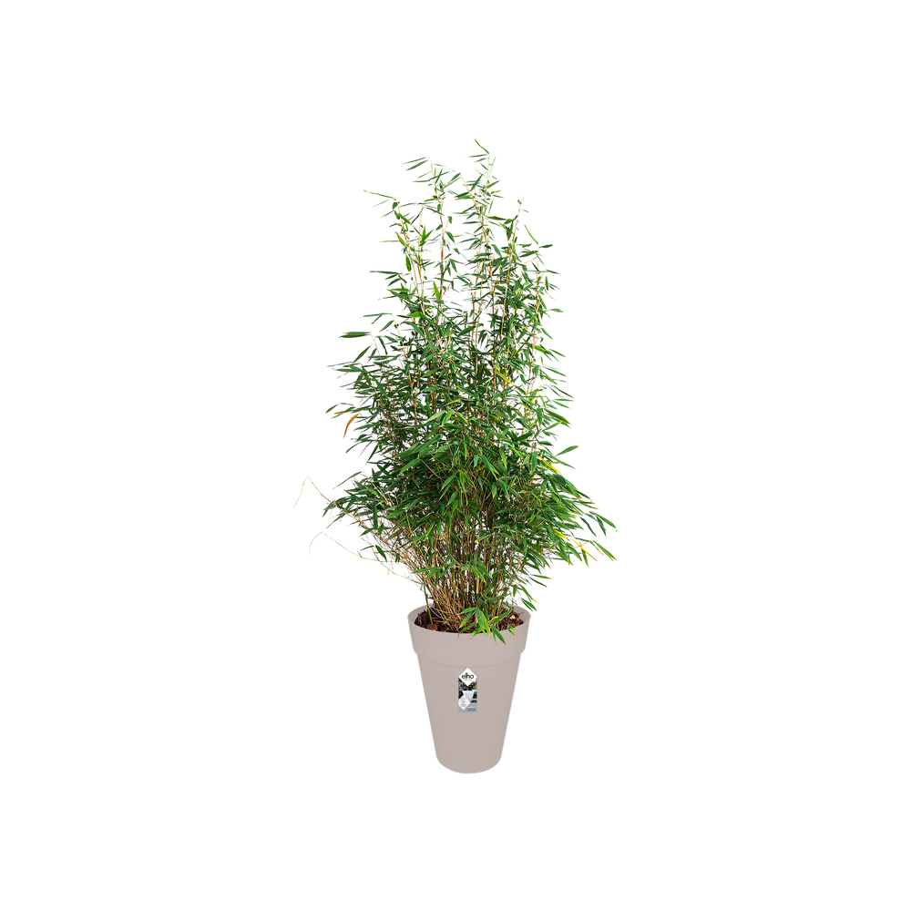 Loft Urban Rond Haut 35