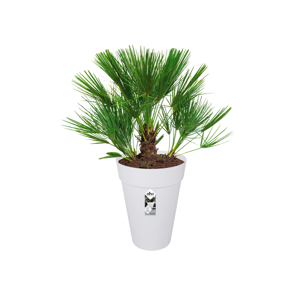 Loft Urban Rond Haut 42