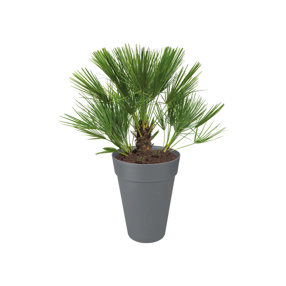 Loft Urban Rond Haut 42