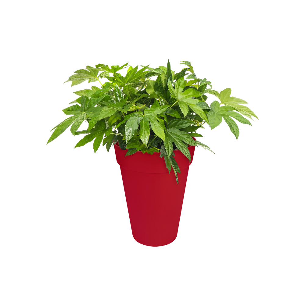 Loft Urban Rond Haut 42