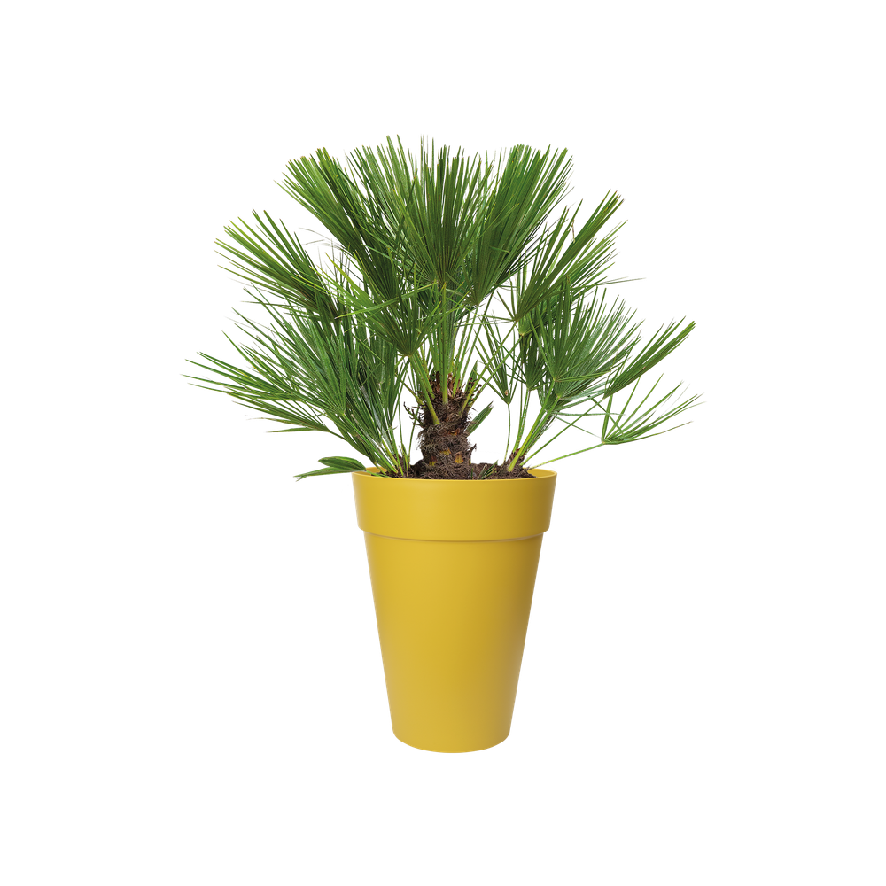 Loft Urban Rond Haut 35