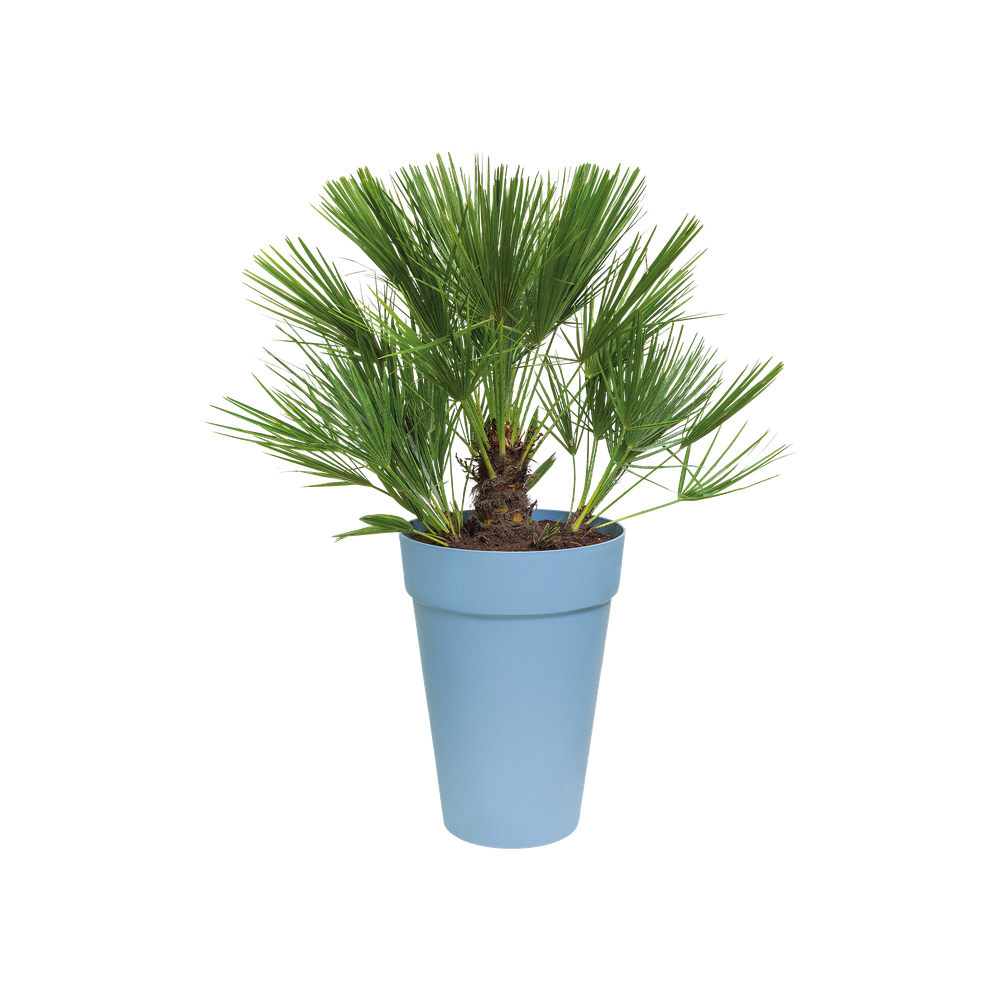 Loft Urban Rond Haut 35