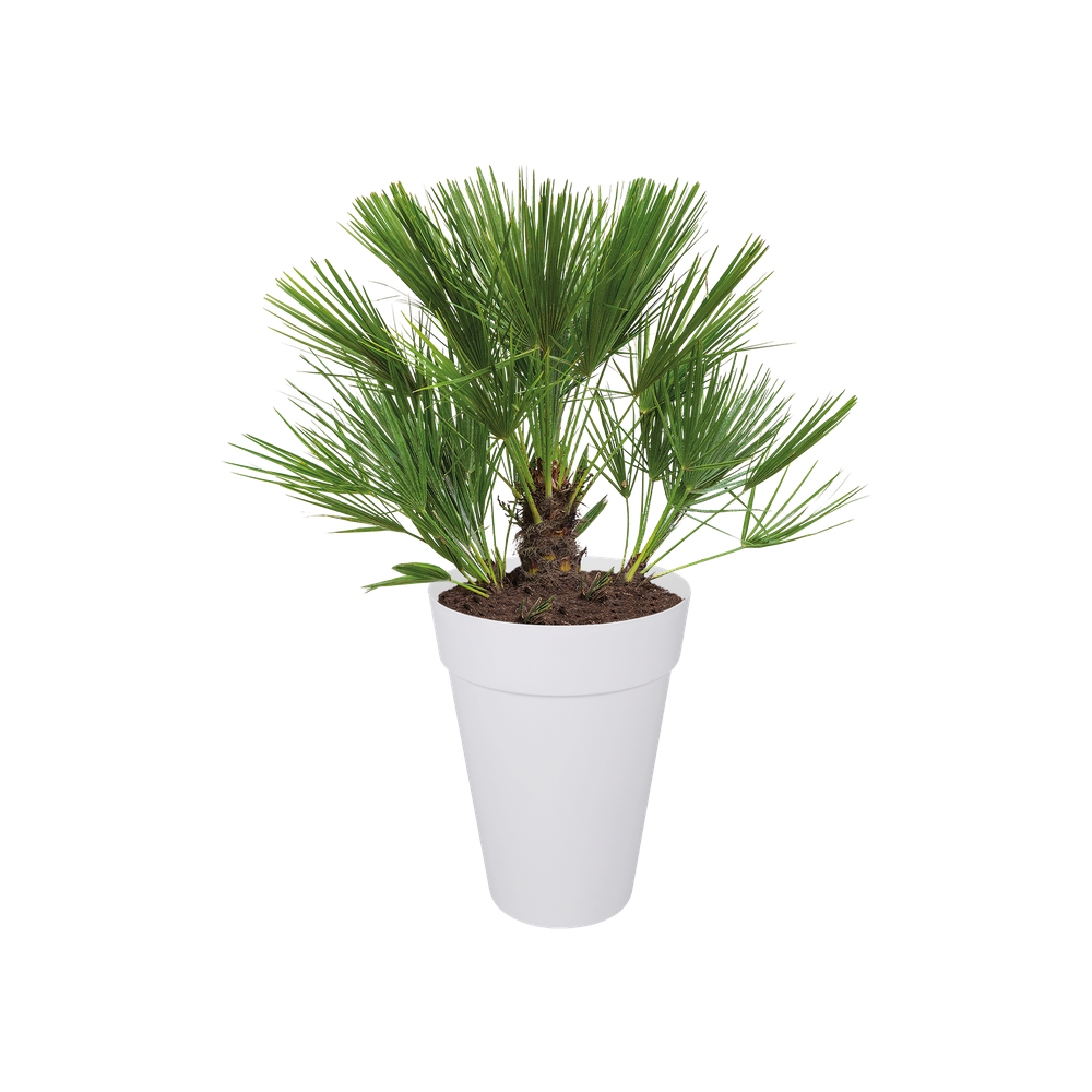 Loft Urban Rond Haut 42