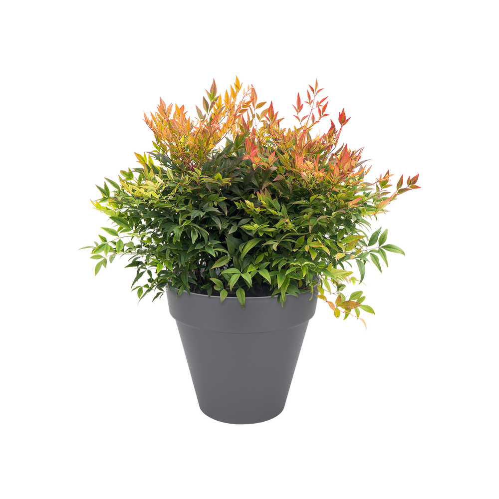 Loft Urban Rond Roues 40