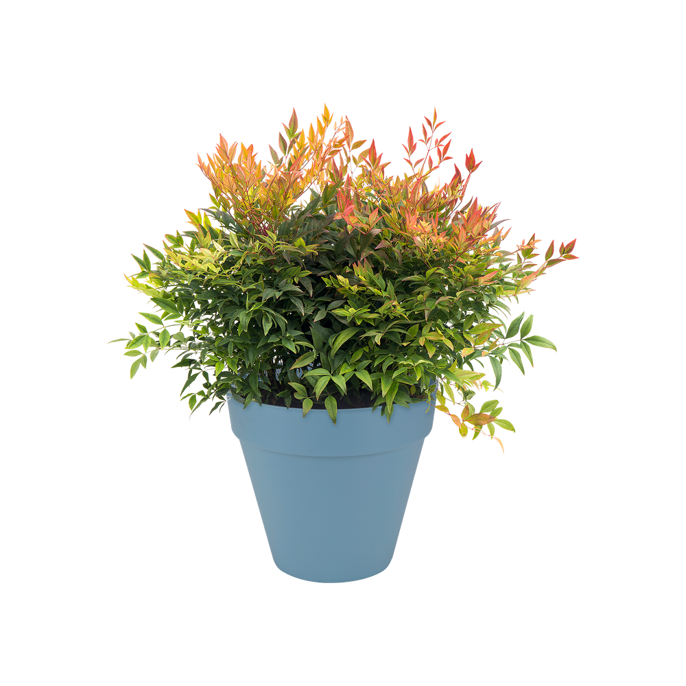 Loft Urban Rond Roues 40