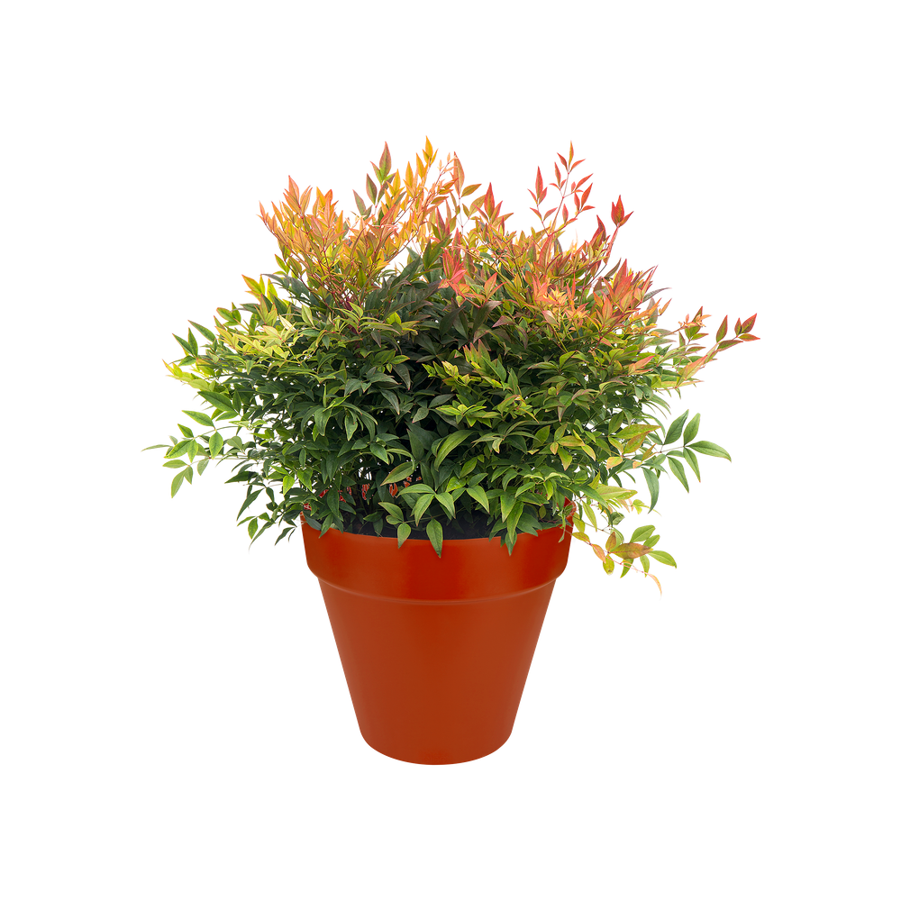 Loft Urban Rond Roues 40