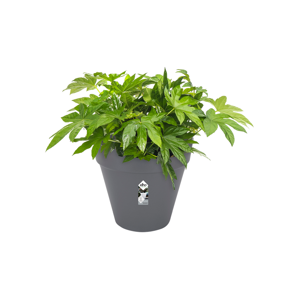 Loft Urban Rond Roues 50