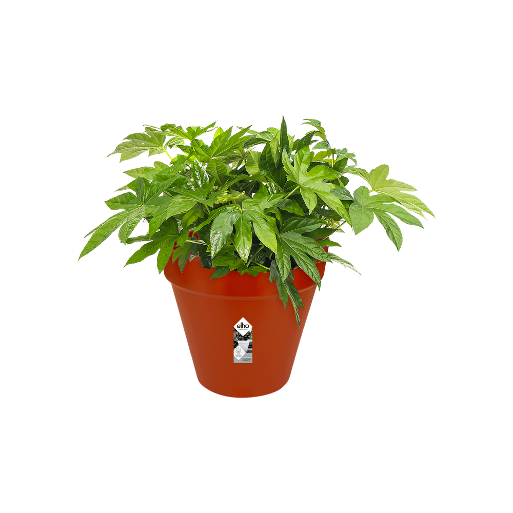 Loft Urban Rond Roues 50