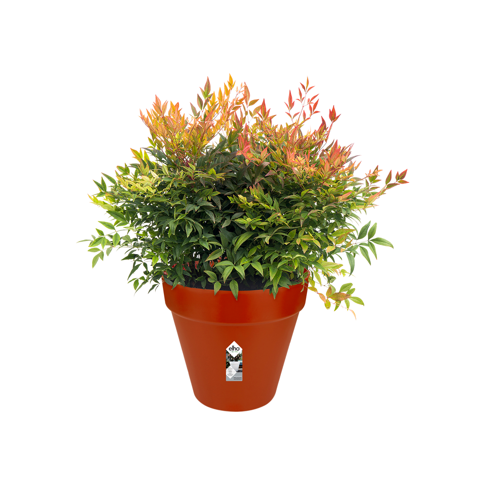 Loft Urban Rond Roues 40