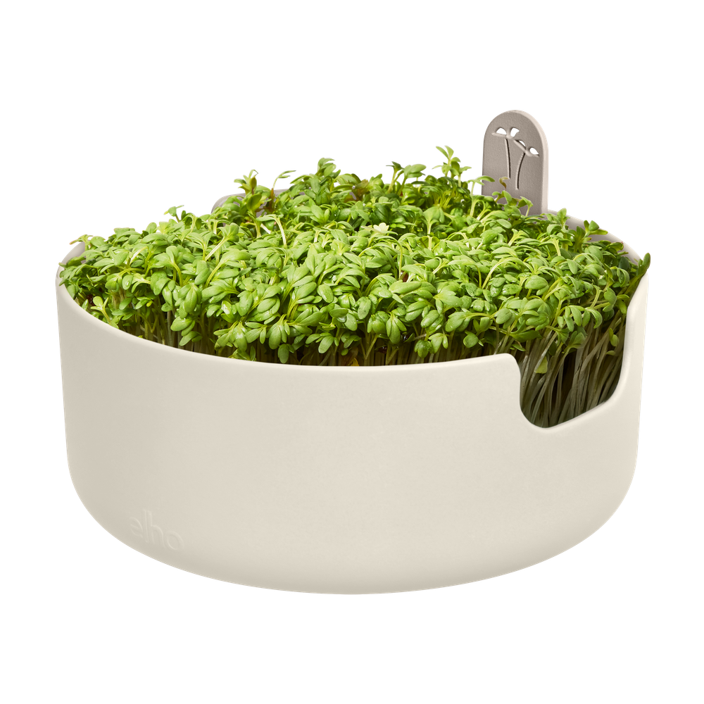 Magic Microgreens