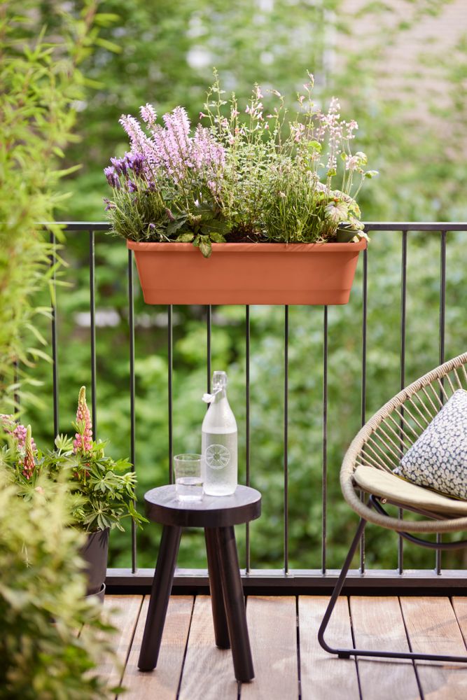Noa Balconnière Xl