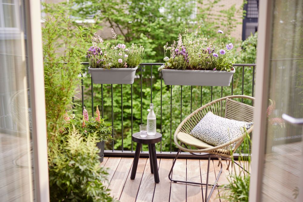 Noa Balconnière Xl
