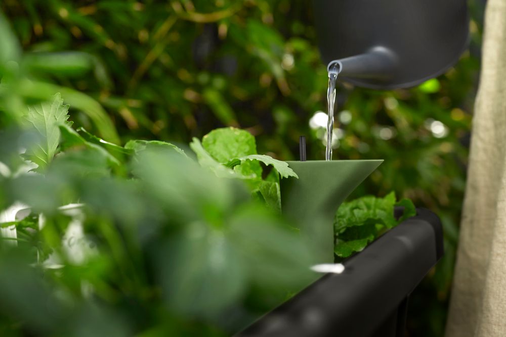 Noa Potager Sur Pied