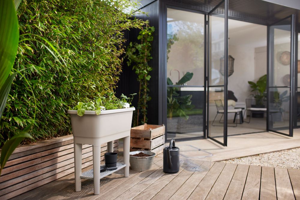 Noa Potager Sur Pied