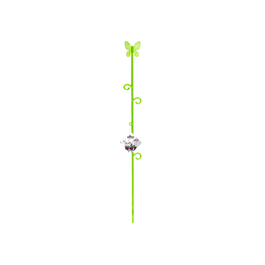 Orchideco Papillon 53