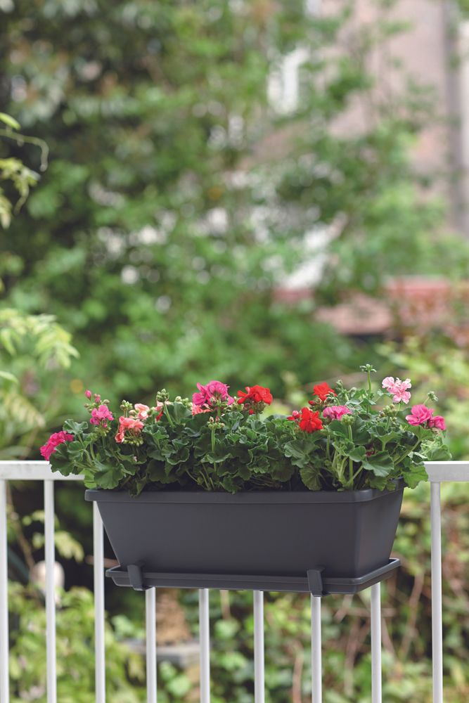 Barcelona Balconnière 40