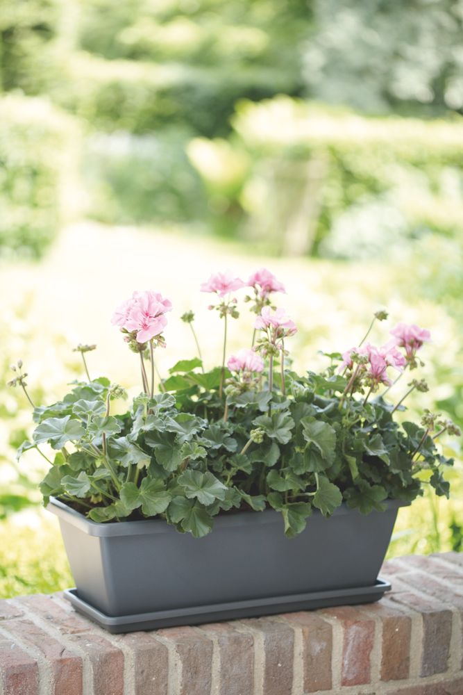 Barcelona Balconnière 50