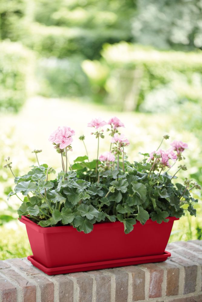 Barcelona Balconnière Soucoupe 50