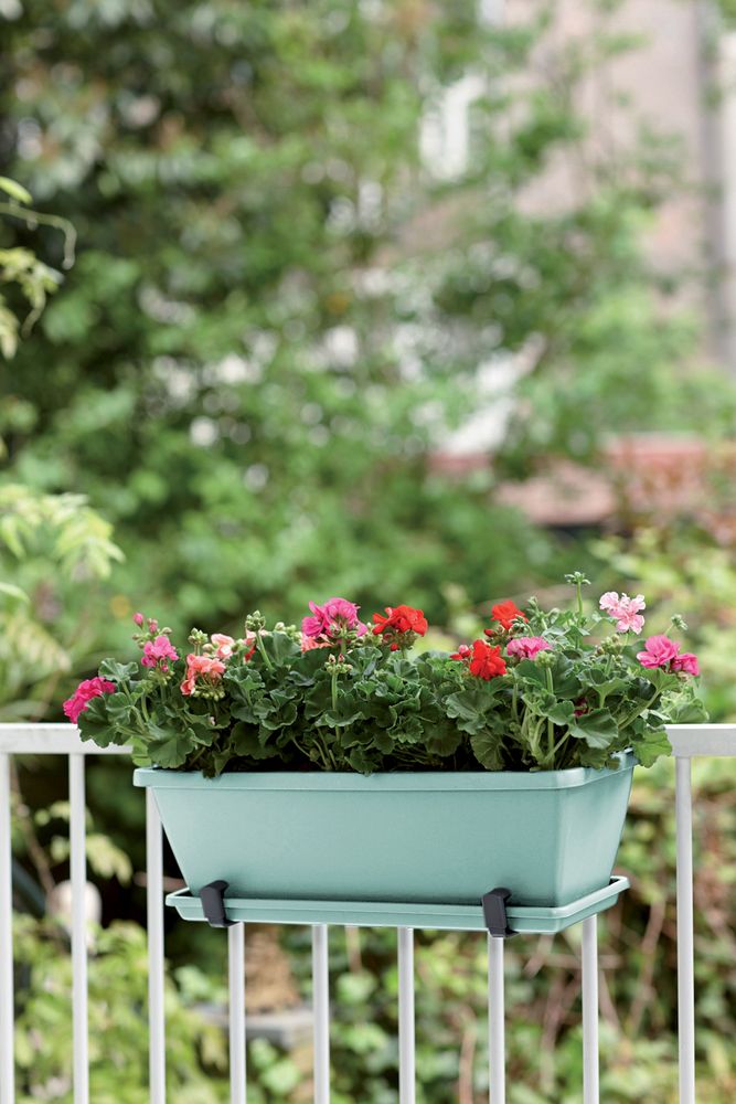 Barcelona Balconnière Soucoupe 50