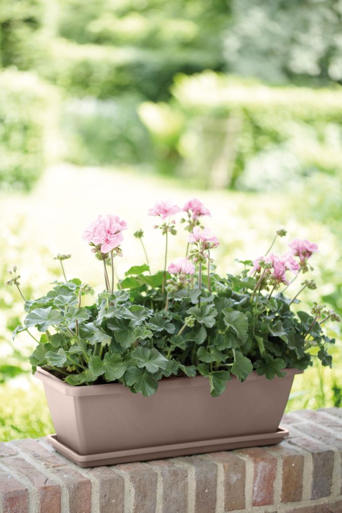 Barcelona Balconnière Soucoupe 50