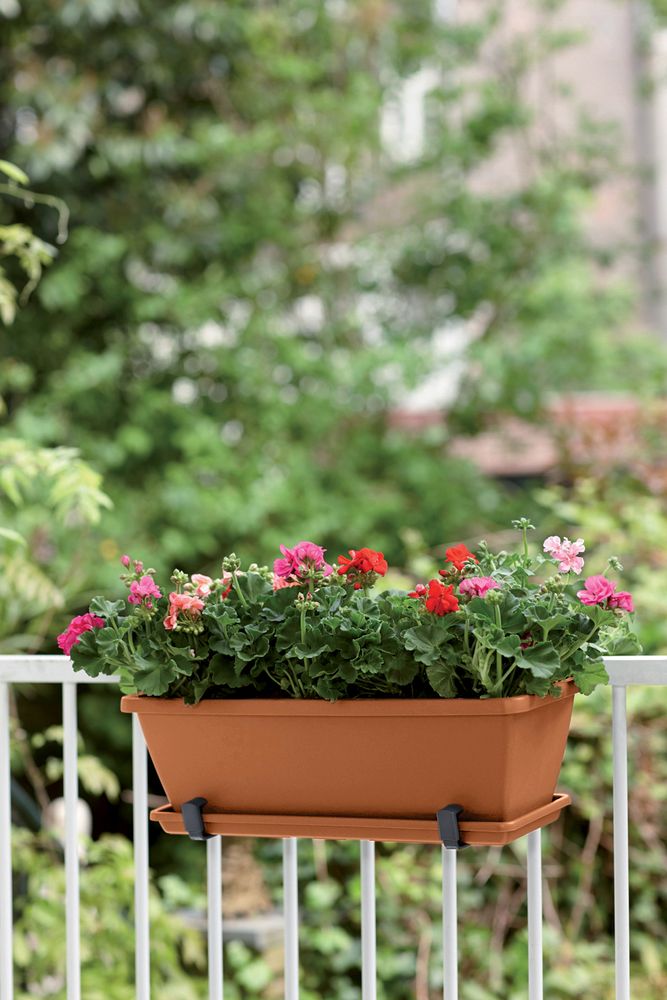 Barcelona Balconnière Soucoupe 40