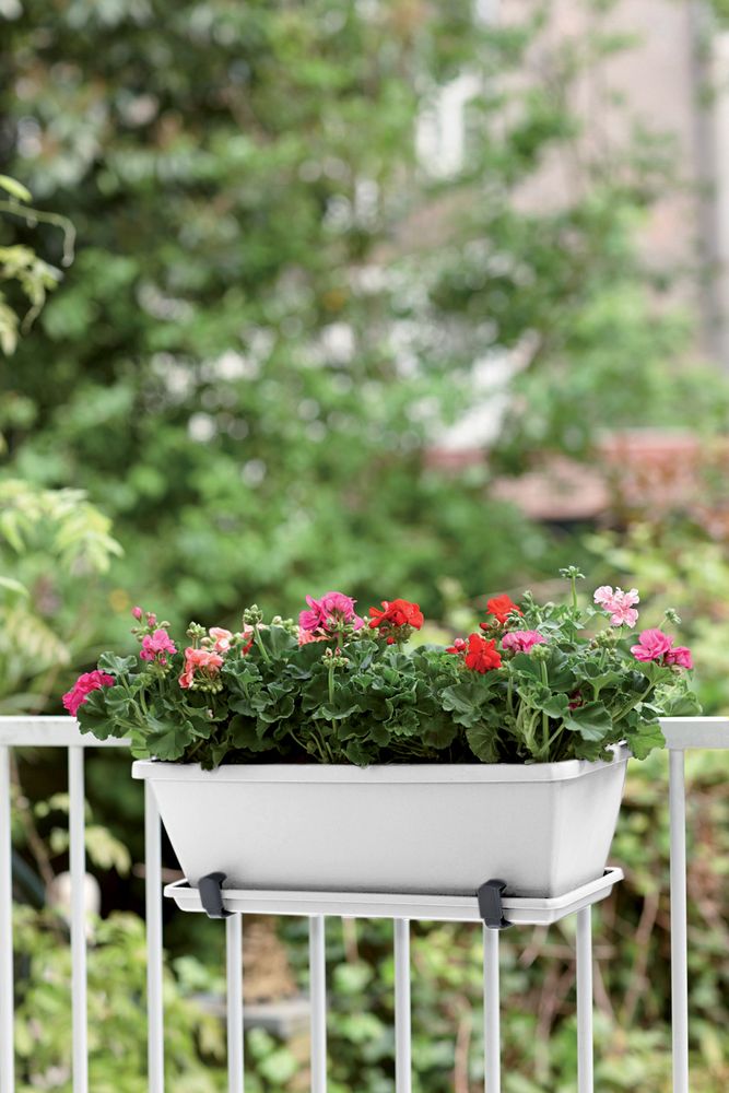 Barcelona Balconnière 70
