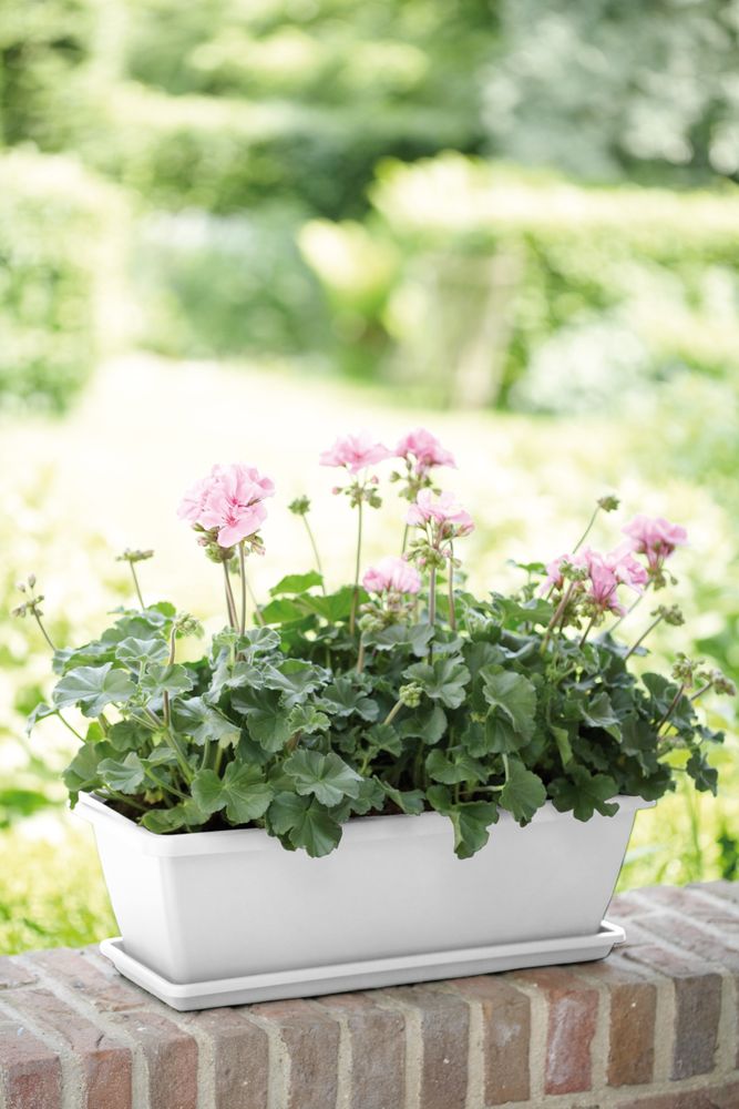Barcelona Balconnière 70
